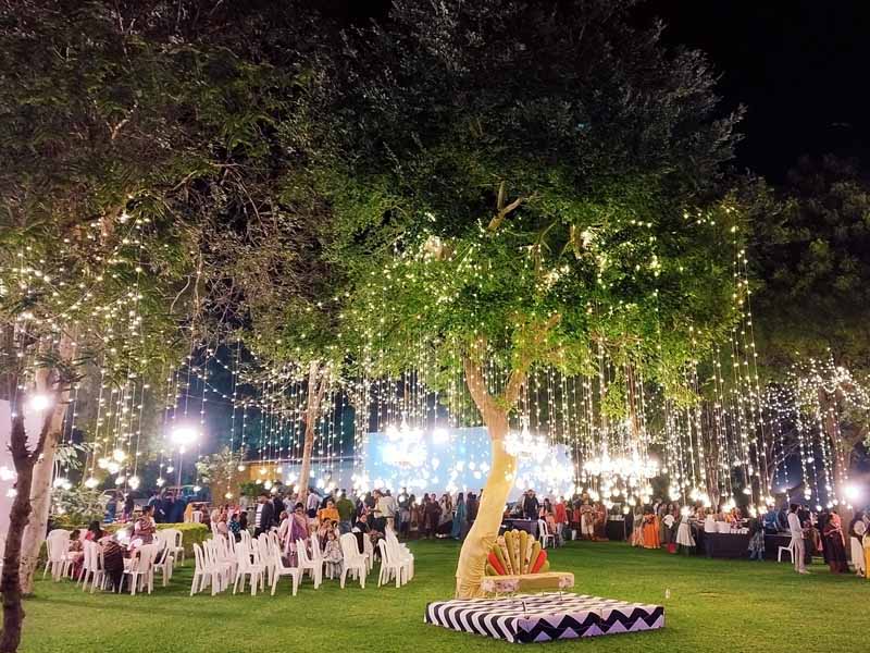 Celebration in aalloa hills